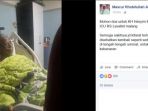 netizen-mengunggah-kondisi_20170108_220004.jpg
