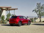 new-mazda-cx3ee.jpg