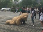 nyatakan-cinta_20170929_041728.jpg