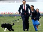 obama_20160109_221606.jpg