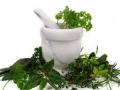 obat-herbal.jpg