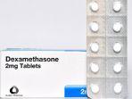 obat-steroid-dexamethasone.jpg