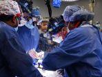 operasi-transplantasi-dari-jantung-babi.jpg