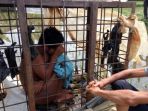 orang-dipasung_20171009_113815.jpg