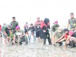 ormas-oi-dan-marinir-tanam-mangrove_20161022_185638.jpg