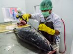 pabrik-pengolahan-tuna_20180301_195035.jpg