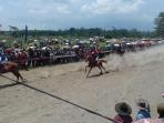 pacuan-dandim-0808-blitar-cup-kuda-kuda-daerah-tampil-memukau_20161030_132114.jpg