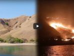 padang-rumput-gililawa-tn-pulau-komodo-terbakar_20180803_181625.jpg
