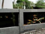 pagar-kolam-ikan-3.jpg