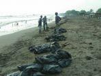 pagi-di-pesisir-pantai-utara-karawang-jawa-barat-warga-desa-sedari-kecamatan-cibuaya-sudah-si.jpg