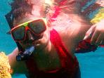 pahawang-diving-pulau_20150213_033705.jpg
