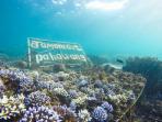 pahawang_20160504_170132.jpg