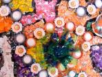 pameran-lukisan-berbahan-sampah-plastik_20150206_001654.jpg