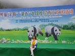 panda-as_20170927_104807.jpg
