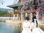panduan-liburan-ke-korea-selatan.jpg