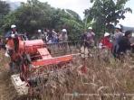 panen-gandum_20160910_125828.jpg