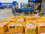 panen-ikan-munir-di-pelelangan-ikan-tpi-tasikagung-rembang_20210922_163925.jpg