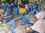 panen-ikan-munir-di-pelelangan-ikan-tpi-tasikagung-rembang_20210922_164008.jpg
