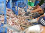 panen-ikan-munir-di-pelelangan-ikan-tpi-tasikagung-rembang_20210922_164129.jpg