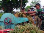 panen-padi-oleh-tni_20150821_145039.jpg