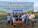 panen-perdana-kedelai-di-desa-panamboang.jpg