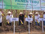 panen-tebu-567.jpg