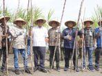 panen-tebu-perdana-di-kawasan-hutan-perum-perhutani-seluas-387-hektare-ha-di-jombang-jawa-timur.jpg