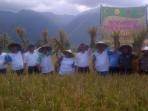 panen_20160306_115040.jpg