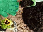 Bagaimana Cara Praktis Menanam Tanaman Sayur di Polybag? Ini Tipsnya