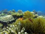 pantai-angsana_20160413_215721.jpg