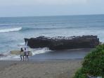 pantai-batu-bolong-canggu-kuta-utara-badung-bali_20150721_172300.jpg