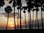 pantai-lasiana-kupang-ntt_20150530_184030.jpg