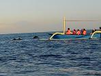 pantai-lovina_20151203_221051.jpg