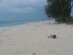 pantai-mananga_20180620_184200.jpg