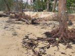 pantai-manggar-balikpapan-tercemar-limbah-minyak.jpg
