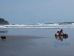pantai-soka_20151120_135953.jpg
