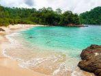 Teluk Hijau Meru Betiri: Keindahan Alam Indonesia dalam Satu Destinasi