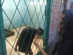 panti-jompo-tunas-bangsa_20170129_134646.jpg