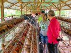 papua-muda-inspiratif-inisiasi-pengembangan-peternakan-ayam.jpg