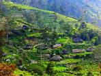 papua_20150610_103719.jpg