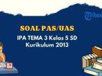 pas-ipa-tema-3-kelas-5-semester-1-kurikulum-13-dapat-jadi-latihan.jpg