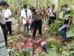 pasangan-suami-istri-ditemukan-tewas-bersimbah-darah-di-kebun-karet_20160821_071439.jpg