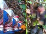 pasangan-suami-istri-warga-desa-teluk-paman-kecamatan-kampar-kiriini-diserang-beruang_20171004_111321.jpg