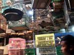 pasar-burung-pramuka-jakarta_20161108_154753.jpg