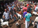 pasar-hewan-sibreh-jelang-hari-raya-qurban_20200722_170802.jpg