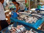 pasar-ikan-segar.jpg