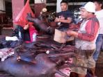 pasar-tomohon-sulawesi-utara-kuliner-ekstrem_20150727_110708.jpg