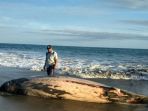 paus-mati_20180716_002333.jpg