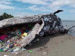 paus-terdampar-memuntahkan-sampah-plastik.jpg