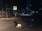 pecahan-bom-terlihat-di-kota-rylsk.jpg